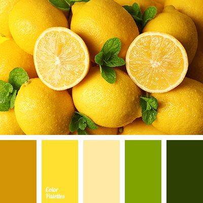 brown-yellow color, canary yellow color, color of lemons, dark green, gray, leaf color, lemon, lemon color, lemon colors, lime green, reddish-yellow, saffron, shades of yellow, warm beige, warm shades for summer, warm yellow. In Color Balance, Lemon Color, Yellow Palette, Color Palette Ideas, Wall Living Room, Color Palette Yellow, Color Schemes Colour Palettes, Warm Palette, Palette Ideas