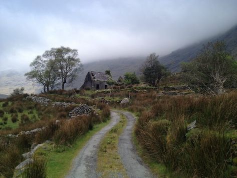 Winding Irish Country Roads : Carla Neggers Seaside Homes, Ireland Aesthetic, Background References, Irish Country, Halloween Wallpaper Iphone Backgrounds, Movie Making, Irish Countryside, Ireland Trip, Galway