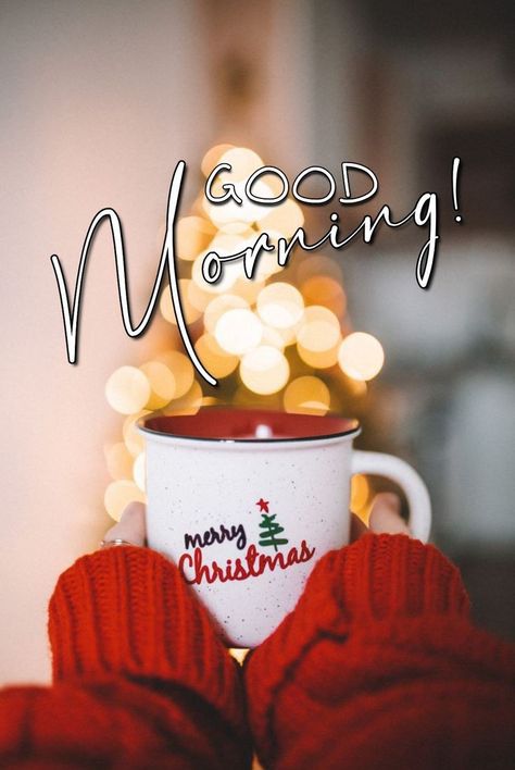 Christmas Good Morning Wishes, Good Morning Holiday Images, Christmas Morning Quotes, Good Morning Winter Images, Memes Funny Hilarious, Christmas Meme, Christmas Greetings Messages, Good Morning Christmas, Good Morning Winter