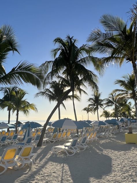 📍Coco Cay Coco Calypso, Coco Cay Bahamas, Miss Hawaii, Carribean Cruise, Christmas Cruise, Coconut Dream, Christmas Cruises, Vacation Mood, Tropical Destinations