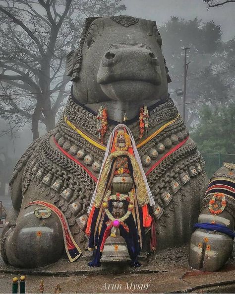 Nandi Bull Images, Nandi Bull, Bull Images, Shiva Temple, Ancient Indian Architecture, Amazing India, Lord Murugan Wallpapers, Beautiful Horse Pictures, Wood Slice Art