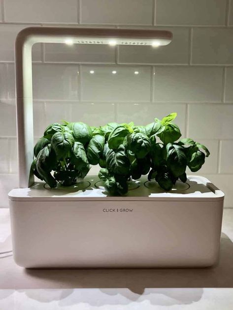 The Click and Grow Smart Garden 3 is known as one of the top automated mini gardening systems. It promises to do the lion’s share of plant growing on your behalf, leaving you free to enjoy a plentiful supply of fresh plants (without too much actual work on your part). Let’s look at the Click & Grow and review what makes this indoor gardening system so popular. Click And Grow, Parsley Plant, Chives Plant, Mustard Plant, Vertical Garden Indoor, Growing Gardens, Indoor Herb, Smart Garden, Plant Growing