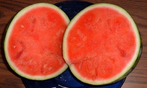 Seedless Watermelon, Fruit Nutrition Facts, Fruit Nutrition, Watermelon Fruit, Nutrition Facts, Watermelon, Health And Wellness, Nutrition, Fruit