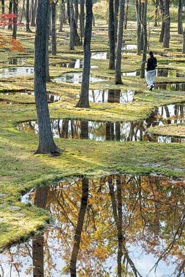 Reminds me of the magicians nephew  Water Garden by Junya Ishigami | 2018-12-07 | Architectural Record Junya Ishigami, Landscape Gardening, Garden Types, Landscaping Supplies, Garden Architecture, Landscape Plans, Landscaping Tips, Landscape Projects, Landscape Ideas