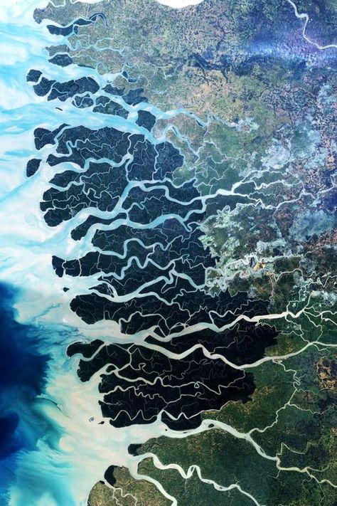 Happy world wetlands day! The Sundarbans is the largest single block of tidal halophytic mangrove forest in the world which covers parts of India and Bangladesh by NASA. #wetlands #blue #green #mangroves #lovemotherearth Africa Nature, Mangrove Forest, Earth From Space, To Infinity And Beyond, Birds Eye View, Aerial Photography, Birds Eye, Patterns In Nature, Pics Art