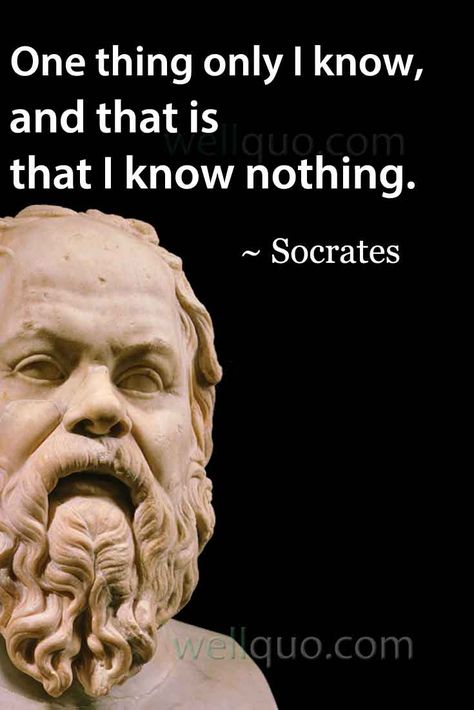 The Only Thing I Know Is I Know Nothing, Quotes About Life Philosophy, Hippocrates Quotes, Daily Discipline, Plato Quotes, Socrates Quotes, Famous Philosophers, Greek Philosophy, Stoicism Quotes