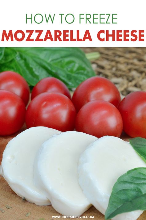 Looking to find out how to freeze mozzarella cheese? This short guide gives you the step-by-step instructions  that will properly help you prepare to store this cheese for future use.  Find out why you should be freezing mozzarella cheese, as well as the pros and cons of this storage option.  #mozzarella #mozzarellacheese #cheese #freezingfood # Fresh Mozzarella Uses, What To Make With Fresh Mozzarella, Recipes With Fresh Mozzarella Cheese, Recipes Using Fresh Mozzarella Cheese, Recipes Using Mozzarella Cheese, Freezing Cheese, Dirt Recipe, Fresh Mozzarella Recipe, Burrata Mozzarella