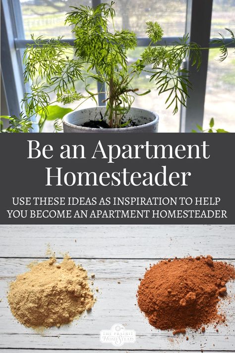 How to be an Apartment Homesteader • The Prairie Homestead Black Women Homesteading, Simple Homesteading Ideas, How To Be Crunchy, Indoor Homesteading, Homesteading In The City, Homesteading In An Apartment, Small Homestead Aesthetic, Homesteading Apartment, Home Steading