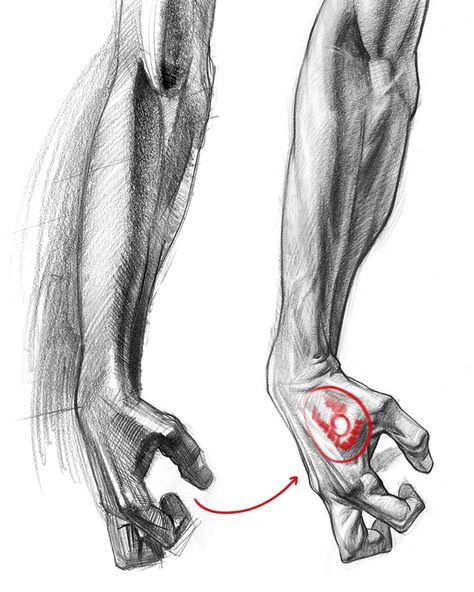 There are some basic things you need to know if you’re gonna start shading your anatomy drawings. In this video, I give you guys 3 tips to bring your shading to the next level - proko.com/221 Arm Anatomy, Male Figure Drawing, Drawing Legs, Anatomy Tutorial, Human Anatomy Drawing, Human Figure Drawing, Human Anatomy Art, Anatomy Sketches, Anatomy For Artists