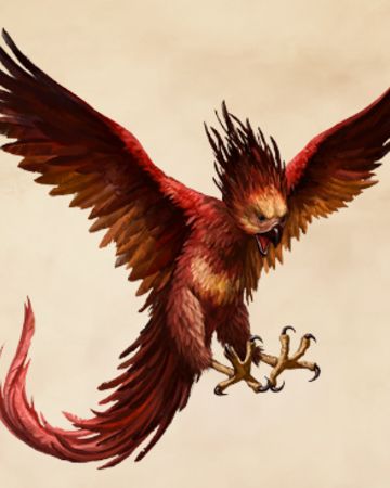 Phoenix | Harry Potter Wiki | FANDOM powered by Wikia Harry Potter Creatures, Phoenix Harry Potter, Harry Potter Wiki, Beast Creature, Harry Potter Tattoos, Harry Potter Tattoo, Ancient Mythology, Hogwarts Mystery, Phoenix Tattoo