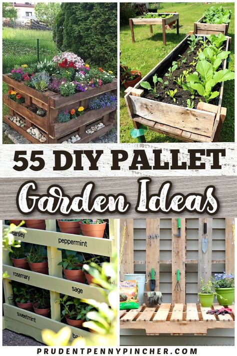 Make a garden on a budget with these pallet garden ideas. From DIY pallet outdoor planter ideas to pallet garden beds, there are plenty of wood pallet projects for the garden to choose from that will give your garden design a makeover on a budget. These pallet garden projects can be used for flowers, herbs, vegetables and more! Pallet Garden Ideas Diy, Pallet Garden Ideas, Pallet Planter Box, Diy Planters Outdoor, Herb Garden Pallet, Pallet Projects Garden, Deco Marine, Diy Garden Bed, Diy Herb Garden