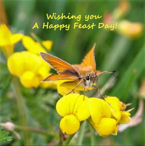 Wishing you A Happy Feast Day! Happy Feast Day Wishes, Feast Day Wishes, Happy Feast Day, Happy Feast, Wishes For Sister, Flowers Wallpapers, Good Prayers, Happy Birthday Messages, Wish Quotes