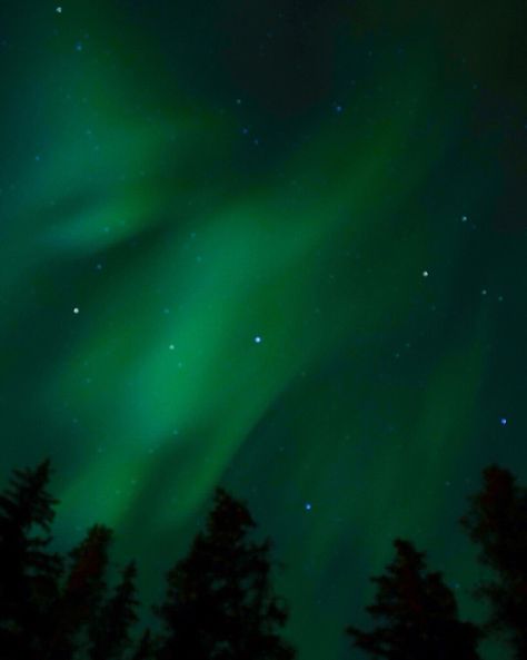 Green Aurora Aesthetic, Aurora Borealis Green Taylor Swift, Aurora Borealis Aesthetic, Aurora Borealis Green, Green Hour, Green Inspo, Northern Lights Photography, Green Aurora Borealis, Green Aesthetics