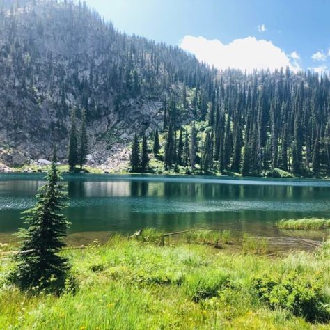 Huckleberry Milkshake, Mccall Idaho, State Park Camping, Nature Trails, Idaho State, Tent Campers, Bear Lake, Coeur D'alene, Forest Fire