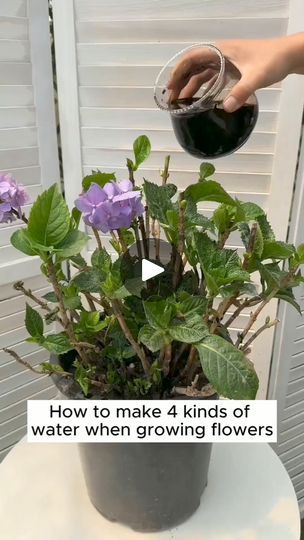 60K views · 239 reactions | Extremely unique plant care solution #gardening #gardentools #gardeningtools #tool #tools #gardeningmakemehappy #handtools #cooltools #satisfying #gardeners #gardeninspiration #gardening #trees #tree #treesofinstagram #treestreestrees #treestagram #gardeningtips | The Garden Tips | The Garden Tips · Original audio Unique Plants, Garden Tips, Water Plants, Cool Tools, Plant Care, Garden Inspiration, Gardening Tips, Hydrangea, Garden Tools