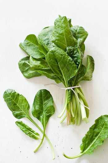 Sarka Babicka Photography Spinach Photography, Eating Green, Leaves Photography, Cafe Pictures, Vegetable Garden Tips, Green Eating, Leaf Photography, Garden Calendar, Salad Leaves