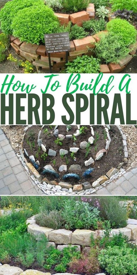 Best Herbs To Grow, Herb Spiral, Spiral Garden, Herb Garden Design, Witch Garden, Garden Steps, Homestead Survival, Unique Gardens, Family Food