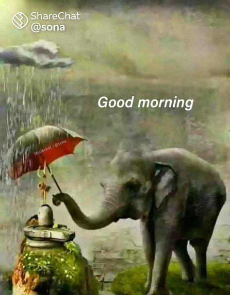 Rainy Good Morning, Mental Relaxation, Good Morning Rainy Day, Rainy Day Quotes, Morning Quotes For Friends, Hug Quotes, Good Morning Funny Pictures, Beautiful Morning Quotes, Lord Wallpapers