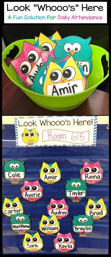 Attendance Display, Preschool Classroom Organization, Owl Theme Classroom, Owl Classroom, Infant Classroom, Preschool Rooms, Prek Classroom, Toddler Classroom, Preschool Class