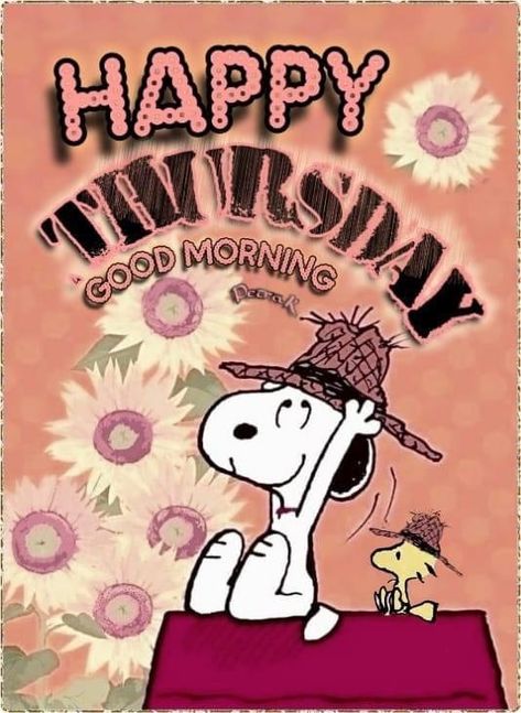 Thursday Snoopy, Snoopy Thursday, Morning Thursday, Good Morning Snoopy, Good Morning Happy Thursday, Good Morning Thursday, Peanuts Characters, Morning Post, Snoopy Love