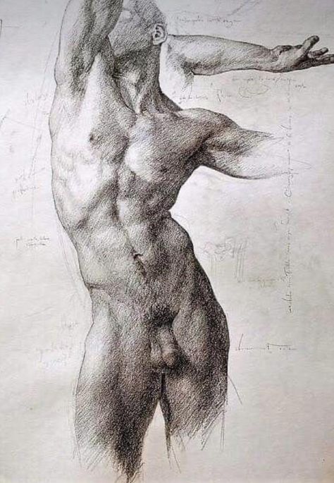 Shane Wolf, Male Art Model, Male Body Drawing, Male Art Men, Masculine Art, Male Body Art, Male Figure Drawing, Body Sketches, Human Anatomy Drawing