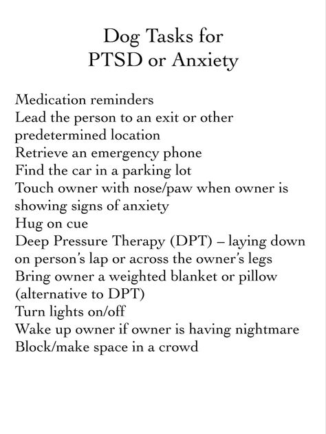 Pitbull Service Dog, Service Dog Training Commands, Service Dog Tasks List, Assistance Dog Gear, Psychiatric Service Dog Tasks, Psychiatric Service Dog Training, Psychiatric Service Dog Gear, Service Dog Training Checklist, Therapy Dog Training