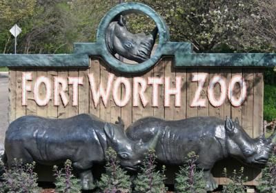 Best Things to do in Fort Worth | Tourist Attractions in Fort Worth: TripHobo Fort Worth Zoo, Texas Places, Texas Travel, Fort Worth Texas, Dallas Fort Worth, The Zoo, Day Tours, Fort Worth, Tourist Attraction