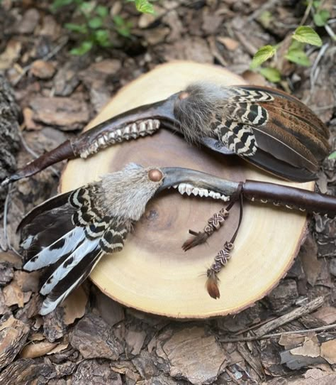 Jaw Bone Crafts, Animal Bones Crafts, Smudge Wands, Smudge Fan, Oddities Decor, Smudging Feathers, Feather Fans, Antler Crafts, Skull Crafts