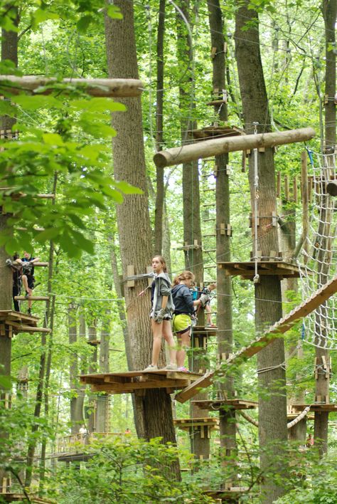 Adventure Park at Sandy Springs | Sandy Springs, MD Forest Playground Design, Tree Platform For Zipline, Landmark Forest Adventure Park, Adventure Playground, Rope Bridge, The Grove Resort And Water Park, Tree House Diy, Diy Playground, Cool Tree Houses