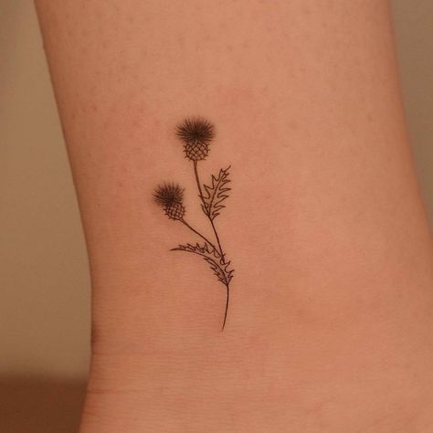 Small Thistle Tattoos For Women, Thistle Ankle Tattoo, Fineline Thistle Tattoo, Minimalist Thistle Tattoo, Fine Line Scottish Thistle Tattoo, Dainty Thistle Tattoo, Scotland Flower Tattoo, Delicate Thistle Tattoo, Thistle Bouquet Tattoo