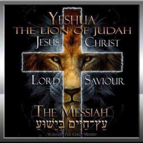 Yeshua Warrior Princess Quotes, Joy In The Lord, Yeshua Messiah, Judah And The Lion, Christian Thoughts, Scripture Wall Decal, Lion Of Judah Jesus, Jesus Christ Quotes, Christian Verses