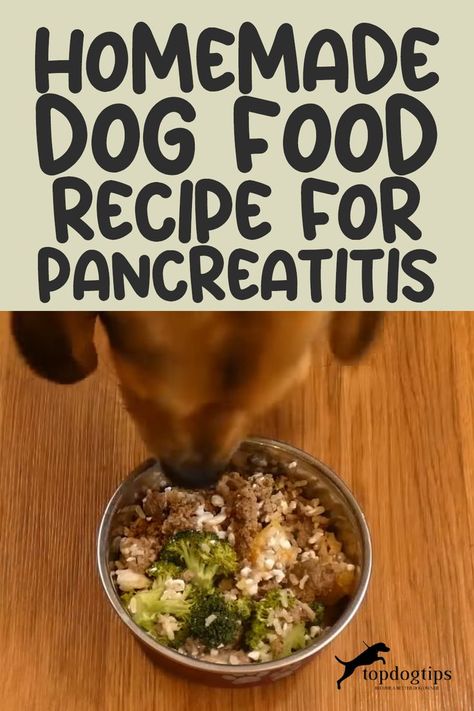 Recipe: Homemade Dog Food for Pancreatitis Pancreatic Dog Food, Pancreatic Diet Recipes For Dogs, Pancreatic Diet For Dogs, Pancreatic Diet Recipes Meals For Dogs, Pancreatic Dog Food Recipes, Dog Pancreatic Diet, High Fiber Dog Food Recipes, Hepatic Dog Food Recipe, Low Fat Dog Treats Homemade