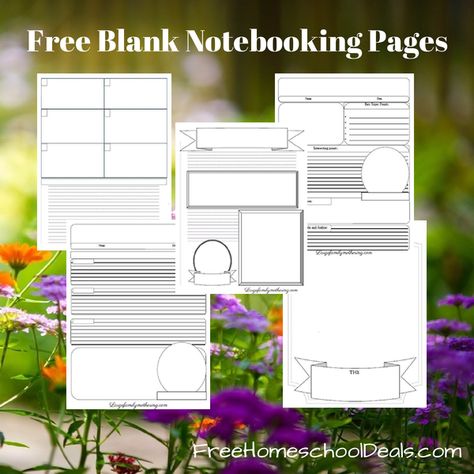 Notebooking Pages Free, Free Notebooking Pages, Notebooking Ideas, Notebooking Homeschool, Homeschool Notebooking, Notebooking Pages, Homeschool Writing, Notebook Pages, Homeschool Freebies