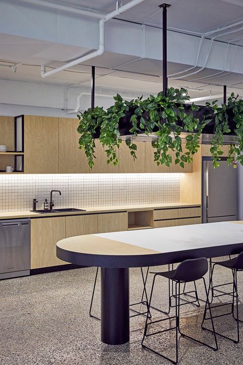 Modern Office Break Room Design, Coworking Kitchen Design, Office Pantry Design, Office Dining Area, Office Cafeteria, Office Canteen, Plywood Table, Office Pantry, Office Fitout