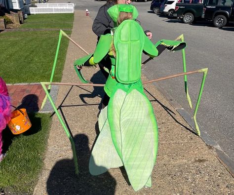 Praying Mantis Costume Diy, Diy Mantis Costume, Praying Mantis Diy Costume, Pray Mantis Costume, Praying Mantis Costume, Mantis Costume, Praying Mantis Plush, Creepy Things, Praying Mantis