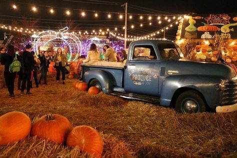 Things to do 📍Chicago Jacks Pumpkin Popup https://www.jackspumpkinpopup.com Fall Vibes, Pop Up, Monster Trucks, Things To Do, Chicago