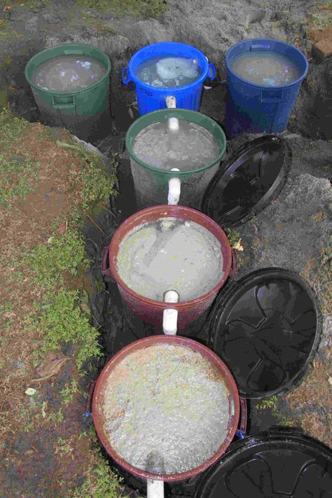 Can my DIY grey water bio filter system ... Grey Water System Diy, Water Filter Diy, Grey Water Recycling, Septic Tank Design, Water Collection System, Grey Water System, Pond Filters, Water Projects, Water Filters System