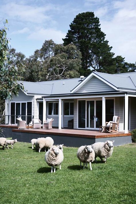 Kerry Watson and David Mumby’s new build country home in Red Hill, on Victoria's Mornington Peninsula, doubles as a bed and breakfast. It's a dream realised; the culmination of their hard work and shared vision to relocate to a beautiful rural location, grow their own food and live more sustainably. Australian Farmhouse, Tree Landscaping, Weatherboard House, Front Verandah, Exterior Facade, House Colours, Coastal Country, Build Inspiration, Country Cottages