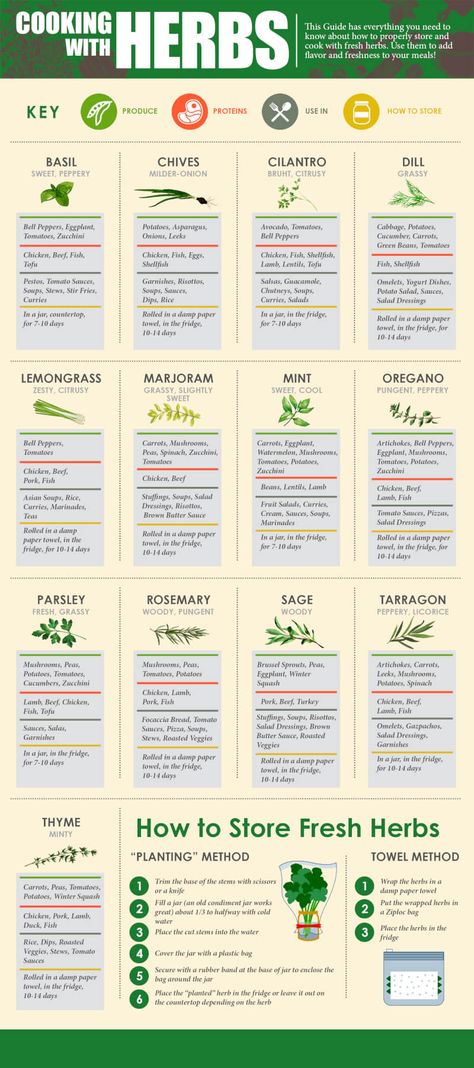 Herb Uses Cooking, Herb Recipes Food, Keeping Herbs Fresh, Cooking With Herbs Recipes, How To Use Herbs In Cooking, Fresh Herbs In Kitchen, Saving Fresh Herbs, Recipes With Herbs, Herbs To Grow For Cooking