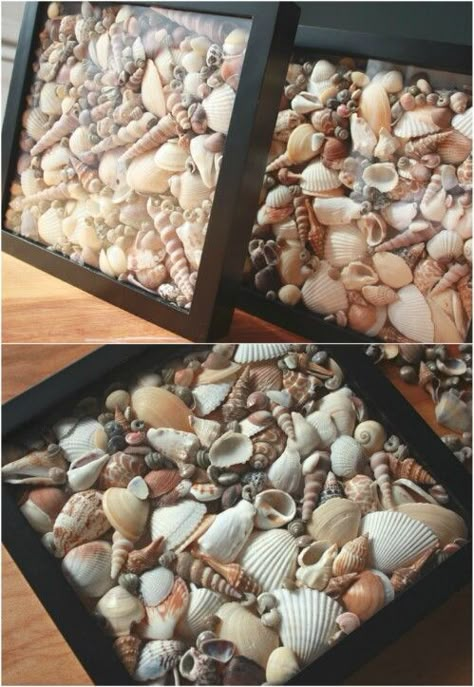 20 Fabulous Beach-Worthy Projects to Create from Seashells                                                                                                                                                     More Beach Jar, Sea Shells Diy, Shell Projects, Beach Craft, Art Coquillage, Seashell Projects, Shells Diy, Shell Ideas, Beachy Christmas