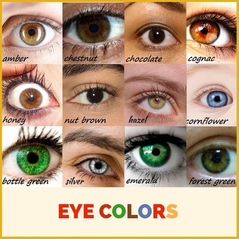 Different eye colors Chestnut Eyes, Brooklyn And Bailey, Most Beautiful Eyes, Chestnut Color, Face Recognition, Chestnut Brown, Eye Health, Beautiful Mind Quotes, Brown Eyes