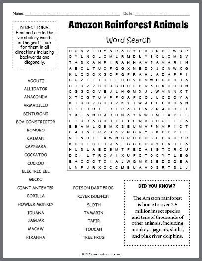 Free Printable Amazon Rainforest Animals Word Search Animal Classification Activity, Nocturnal Animals Activities, Amazon Rainforest Animals, Fall Word Search, Word Search Puzzles Printables, Puzzle Worksheet, Free Printable Word Searches, Animal Classification, Animal Adaptations