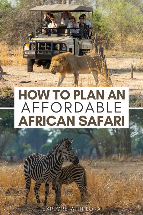 Traveling To Africa, Zambia Safari, Africa Itinerary, Africa Vacation, South Africa Safari, Safari Vacation, Africa Travel Guide, Best Places To Vacation, Wildlife Travel