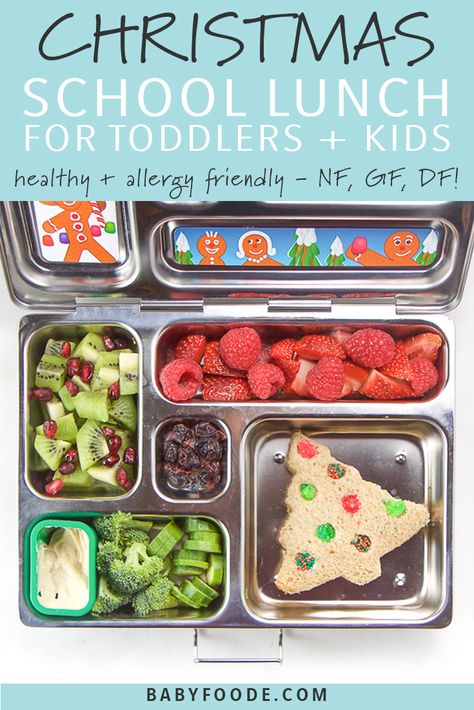 Send a little holiday cheer to your kids and toddlers at school or daycare with this Christmas School Lunch! This festive packed school lunch is nut free, dairy free, gluten free, super healthy and delicious, but packed with holiday fun! #schoollunch #christmas Christmas School Lunch, Lunch For Toddlers, Fun Holiday Food, Holiday Lunch, Kids Allergies, Lunch Inspiration, Healthy Lunches For Kids, Toddler Lunches, Healthy Christmas