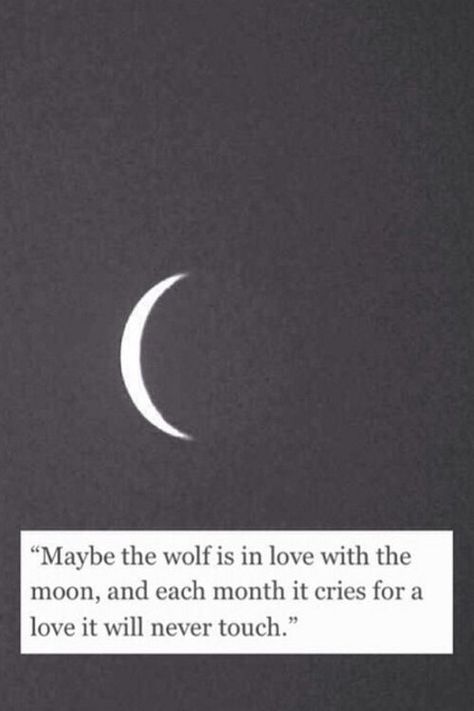 In Love With The Moon, Moonless Night, Moon Quotes, Wolf Quotes, Under Your Spell, The Wolf, About Love, Poetry Quotes, Beautiful Quotes