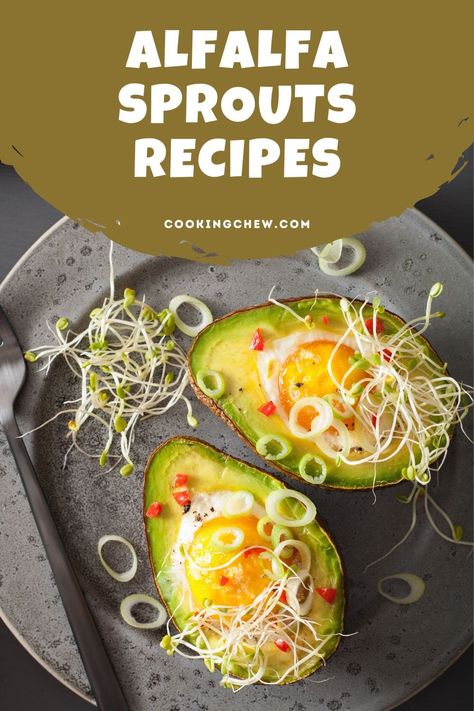 These recipes with alfalfa sprouts go beyond just sandwiches and wraps and include a range of refreshing and savory dishes like salads, burgers, and bowls. Alfalfa Sprout Recipes, Alfalfa Sprouts Recipes, Healthy Dinner Choices, Sandwiches And Wraps, Sprouts Recipes, Avocado Spread, Dinner Choices, Tummy Yummy, Lemon Tahini Dressing