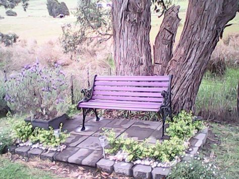 Seat Under Tree, Butterfly Garden With Bench, Seating Under Tree, Sitting Area Under Tree, Under Tree Seating Area, Large Yard Landscaping, Purple Pictures, Toad Hall, Garden Sitting Areas