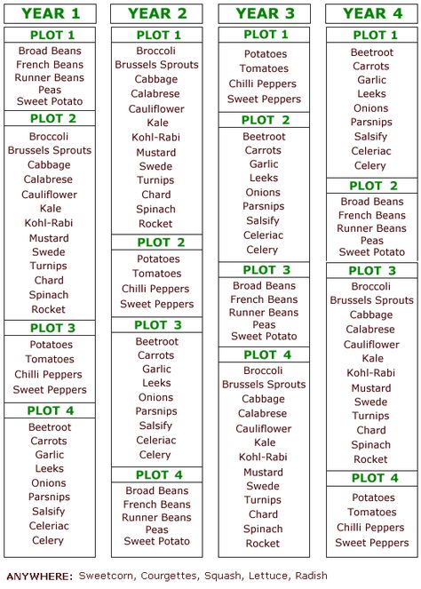 crop rotation - Google Search Garden Homestead, Plantarea Legumelor, Veg Patch, Aesthetic Header, Garden Layout Vegetable, Allotment Gardening, Vegetable Garden Planning, Crop Rotation, Veg Garden