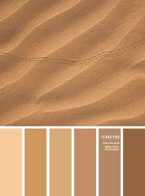 colour palettes Archives 4 - I Take You | Wedding Readings | Wedding Ideas | Wedding Dresses | Wedding Theme Brown Scheme Colour Palettes, Shade Of Brown Colour Palettes, Sandstone Colour Palette, Neutral Color Wheel, Sand Color Pallete, Sand Wedding Colors, Color Palette Sand, Soft Brown Color Palette, Light Brown Pallete Color