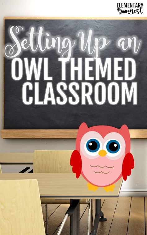 Owl Bulletin Board Ideas Preschool, Owl Classroom Door, Owl Classroom Decor, Owl Bulletin Boards, Winter Classroom Decorations, Classroom Decor Ideas, Owl Quotes, Music Classroom Decor, Owl Theme Classroom